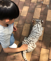 ���۸��᡿��ټ����������������޸ú�ȥ�δӣ�