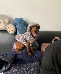 ̩��������