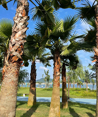 ���д򿨰�ɳ��