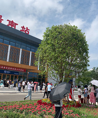 �ɾӻ���վ��ͨ��ʽ