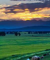 ����70��ǰ��ȥ��100���ط�