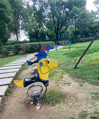 �򿨴��Ź�԰����Ȼ�ܴ�Ҳ�����в���ĵط�