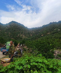 90���ٺ�GG���г��з�����ծ��Ѱ�����µ��ٺ�����