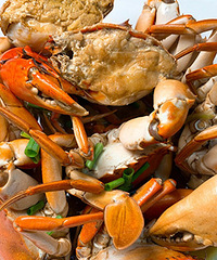 ����Ұ����з