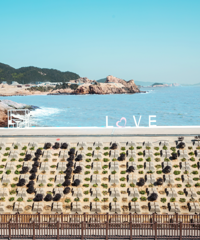 ���׼��֤��ֵǮ�ˡ���������һ�����������