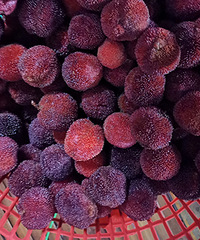 ��������֮һ���õ�