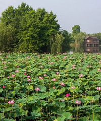 ������˽�ص��ͺɵأ�46000�O�ɻ���ѹ��������