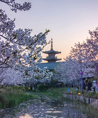 ��ֵ�����պ����Ƹ���ѹ������������ƶ����򿨣�