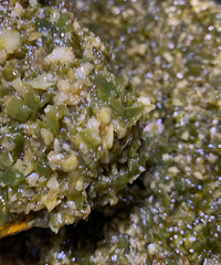 �����ཷ�����ս�������ζ���ű��������ԣ�