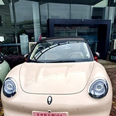 ���ռ� ŷ����è