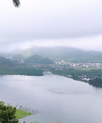 �����ψ����¼���ɽ���ϵ���ɫ��â�ݻ�