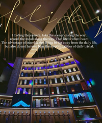 ��������ƾ���ơ�ƾ�Ȼ��12��֮�࣬�϶����ʺ����