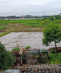 ����ڽ��������ಶʳҲ��ʱ���