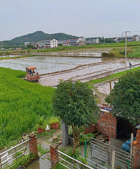 ����ڽ��������ಶʳҲ��ʱ���