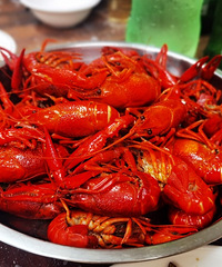 ������Ϻ�ܴ�ܷ������еȸ�ͷ��