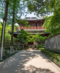 ���ĵ��Ͼ���������ʲô���ɳ��У�