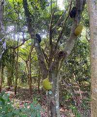 ���϶ȼ�ģʽ�����ϵĲ����ۺ����Ҷ�û����ժ