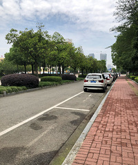 ���ѡ��ѳ�ͣ�������