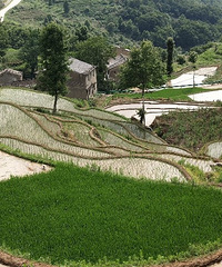 ���µĸ�ɽ������汲��������µ�����Ʒ