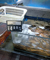 ����4Ԫһ���ô���ˣ�