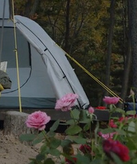 ����¶Ӫ���ң��罻ý���������������������У�