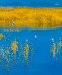 �ҹ���ȥ����100��5A��������ȥ�˶���