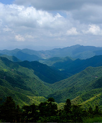 ʢ������ɽ����