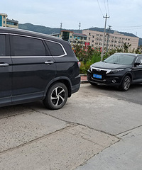 ����ľ�ϲ��