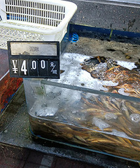 ������ô���ˣ�