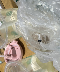 �����ڶ�һ����������ǵ��²ۣ���Ȼ������ȳ��˲�Ӭ