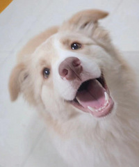 ��Ϊ���񷱶�����͹�����������ϣ���Ҹ����˼�