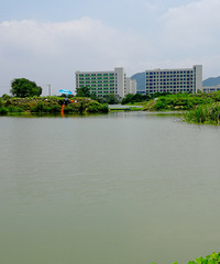 [������]�����µĵ����ˣ����ֵ��������������Ȥ