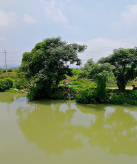 [������]�����µĵ����ˣ����ֵ��������������Ȥ