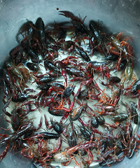 Ұ����Ϻ�۸���ǣ���Сͳ��ҲҪ10���һ��