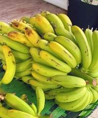 �����㽶�������˲�6ëһ��ڸк�Ŵ����