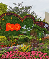 ��ѡ����ۣ�7�»�����Щ�����и���