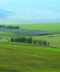 ���⼸�죡���ױ����Ѿ����������ã�