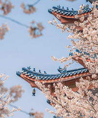 ���պ��������ȳɶ����ݣ��˾�GDPȫ��No.1