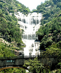 ��̨ɽ���ٲ�