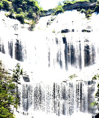 ��̨ɽ���ٲ�