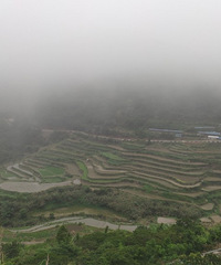 �����е������Ϫ���������������������