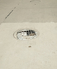 û�������������