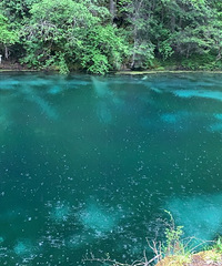 ̨�ݷ羰��-����������У�������Ĳ�ṵ����