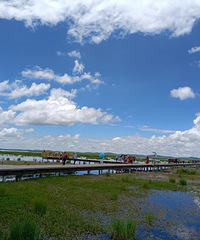 黄河九曲第一湾落日贴近山巅时,整个河谷金黄