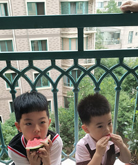 �������ر�ϲ�������ϣ����컯��Ϊ�Թ�Ⱥ��