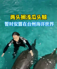 ������Ϣ����̨�ݺ����ǳ�Ĺ�ͷ�����������ư���