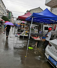 ����С����9��Ͳ��ɢ�ˣ����߲�ȴ����ı���