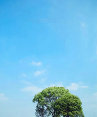 ��Ƭ��100%�����鿥��������λ�����