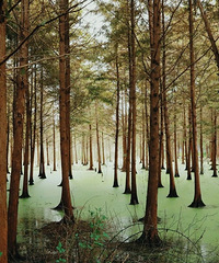 ���й�������վ�����ˣ�2.6�����������Ķ�