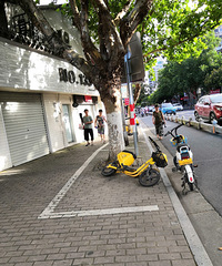 �����Դ�Ҳ�벻��ΪʲôҪ�ѹ����綯���������ϣ�